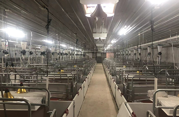 يتم تثبيت مضخم الإشارة في قاعدة التكاثر. تغطية إشارة منطقة كاملة